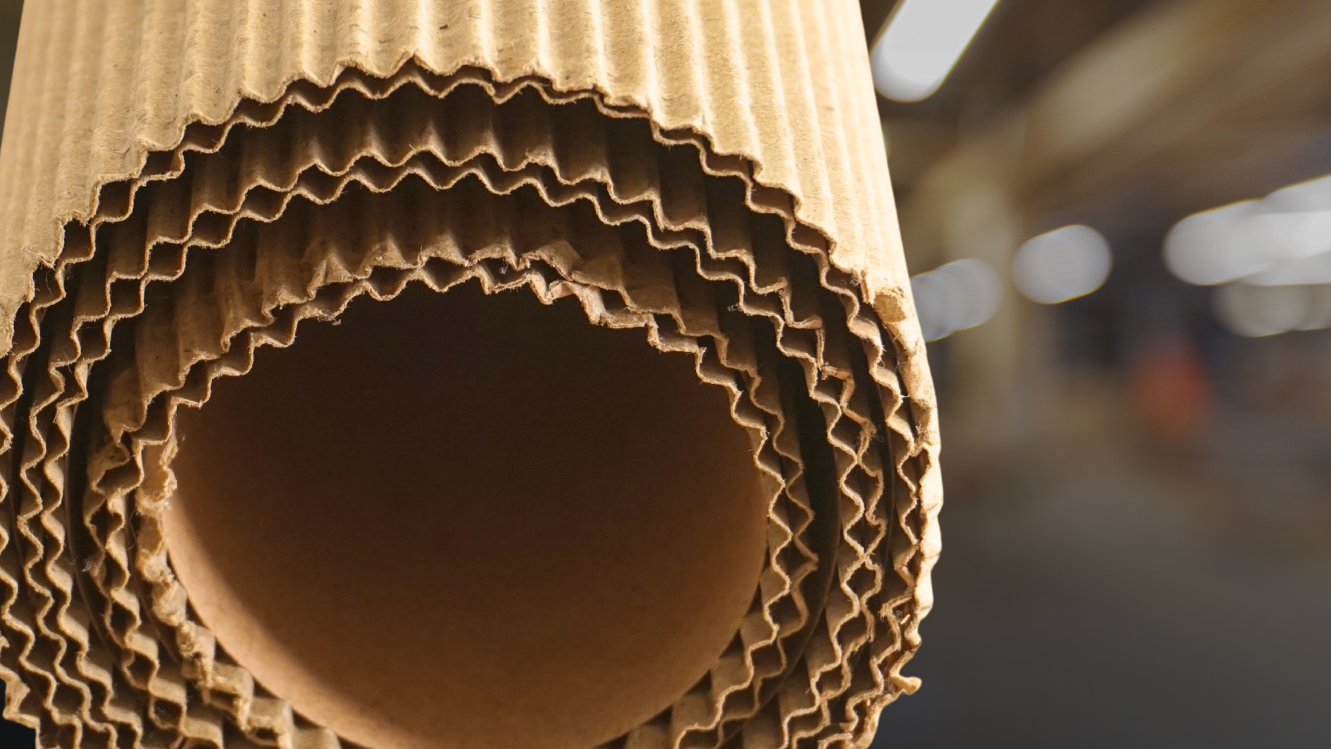 Medium cartón absorbente